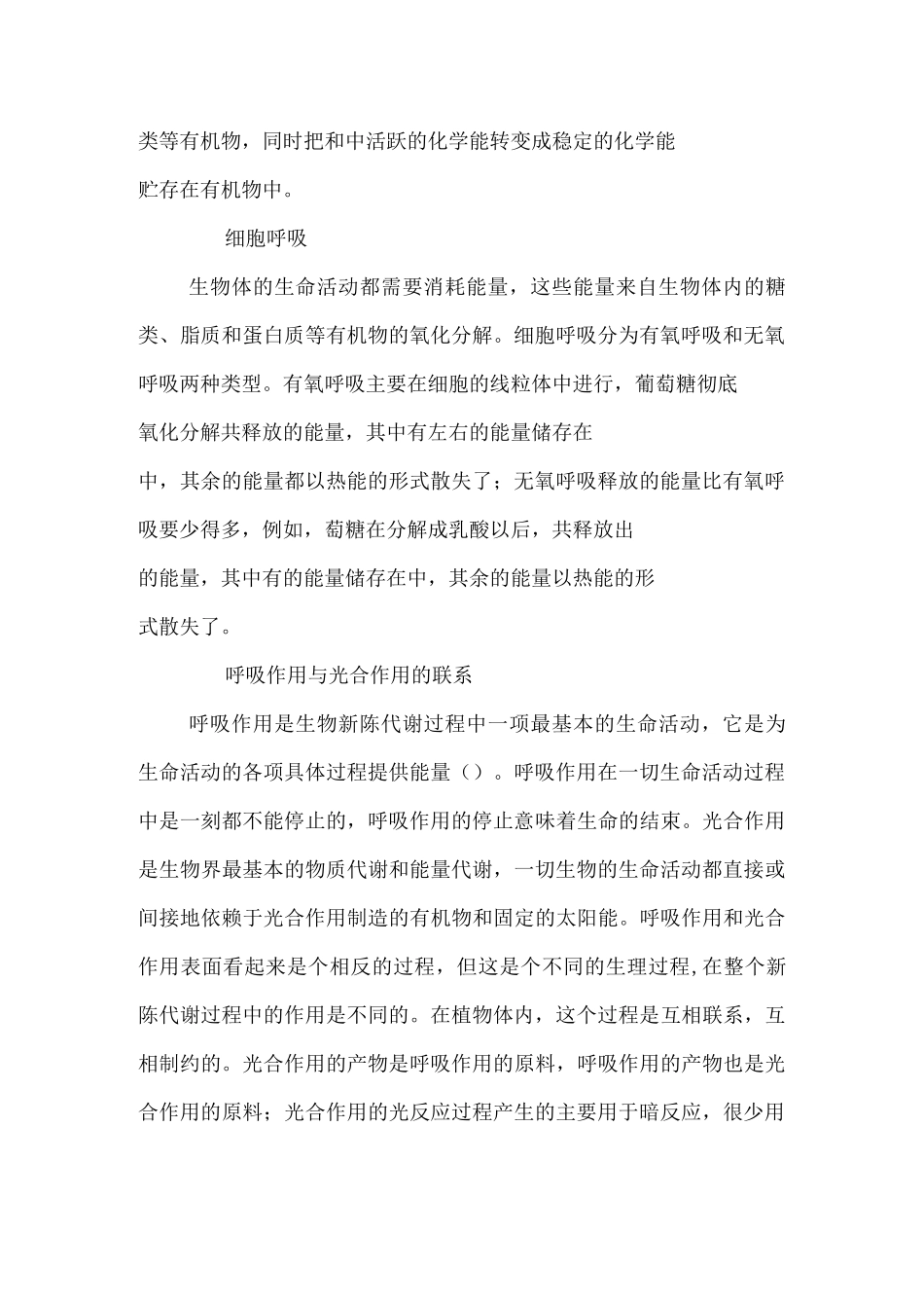 高中生物专题复习——能量_第3页