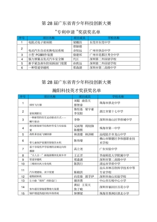 第28届广东青少年科技创新大赛专项奖
