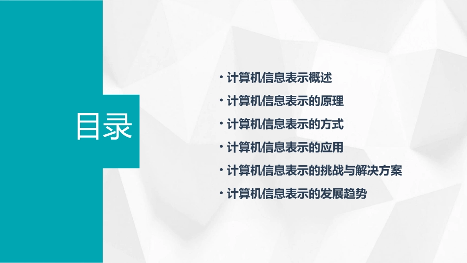 计算机的信息表示通用课件_第2页