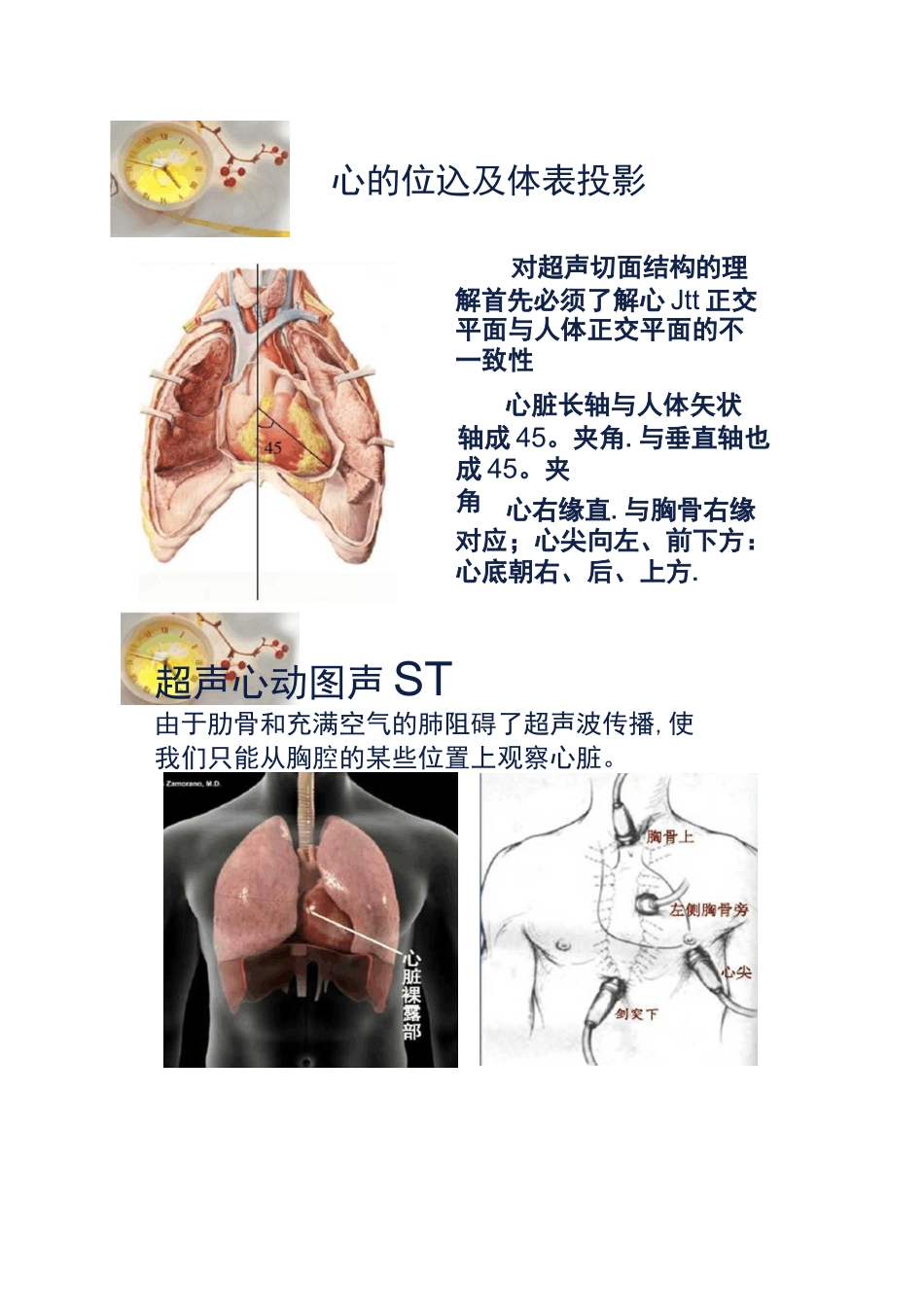 心脏超声常用切面及解剖._第2页