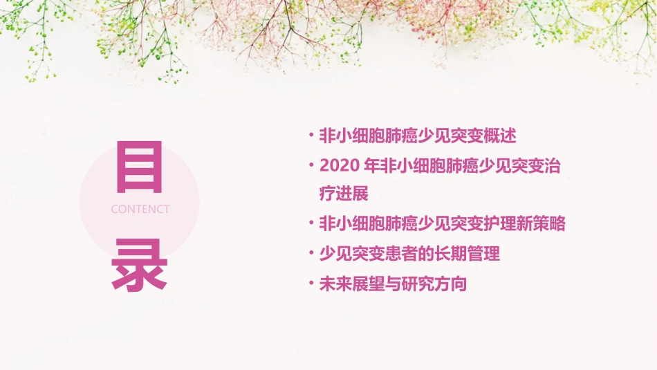 2020非小细胞肺癌少见突变的治疗全面突破护理课件_第2页