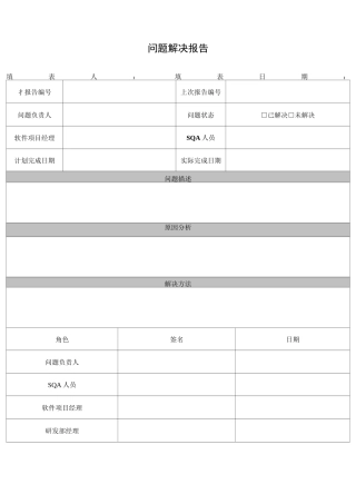 问题解决报告