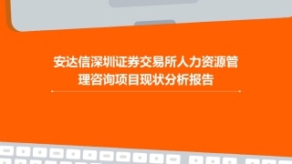 安达信深圳证券交易所人力资源管理咨询项目现状分析报告课件