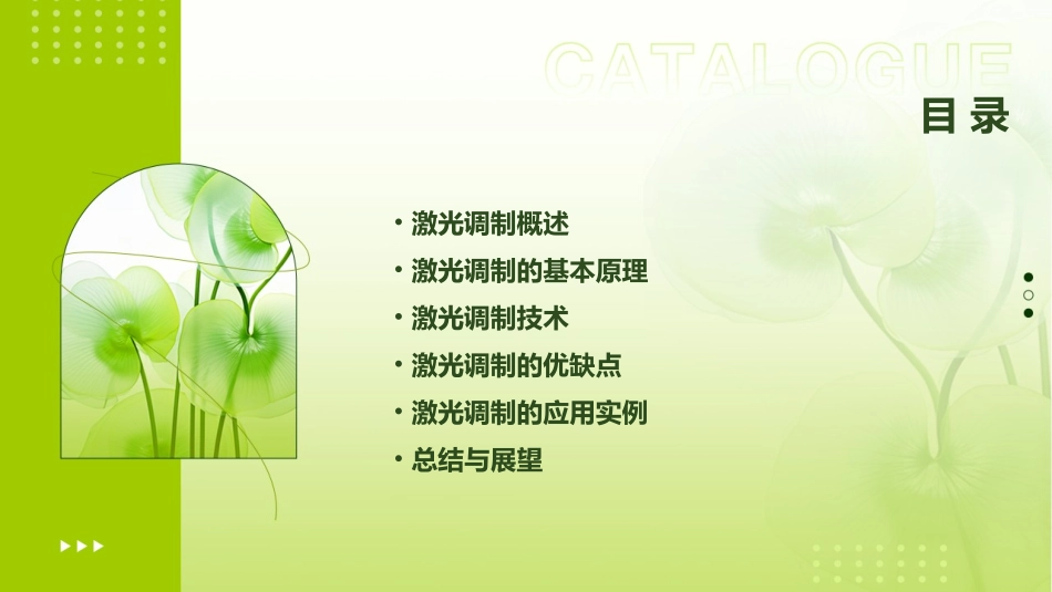 激光调制的基本概念课件_第2页