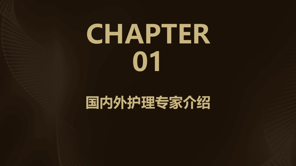 培训 国内外专家事迹简介护理课件_第3页