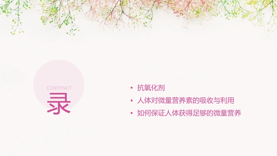 人体所需的微量营养素概要课件1_第2页