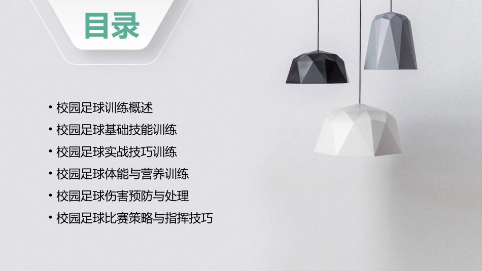 校园足球训练指南课件_第2页