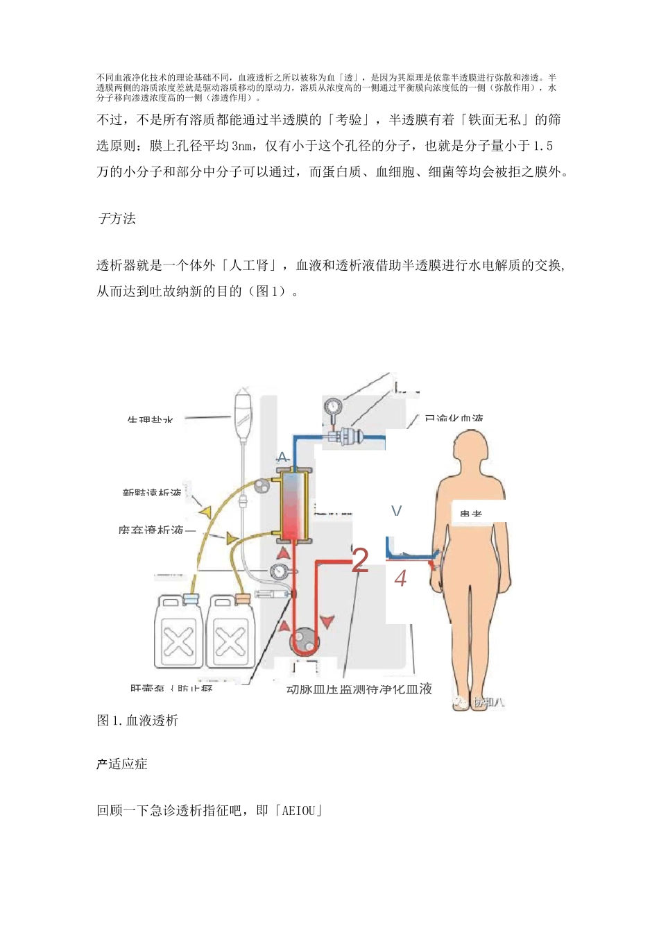 血液净化基本知识_第2页