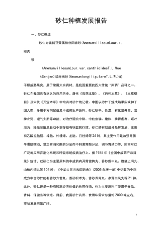 砂仁种植发展报告