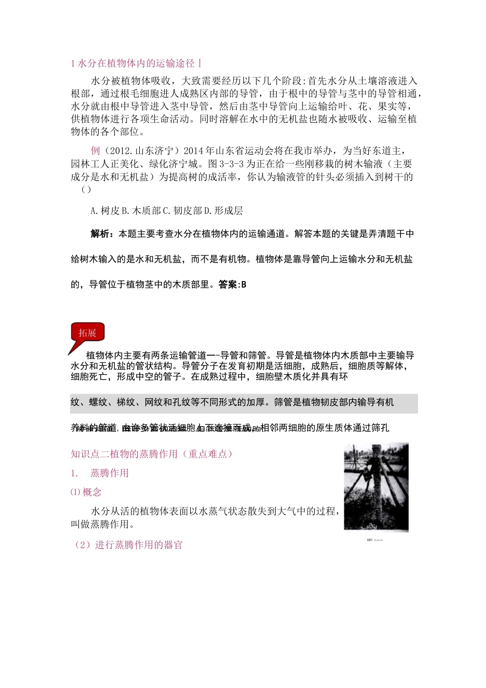 绿色植物与生物圈的水循环_第3页