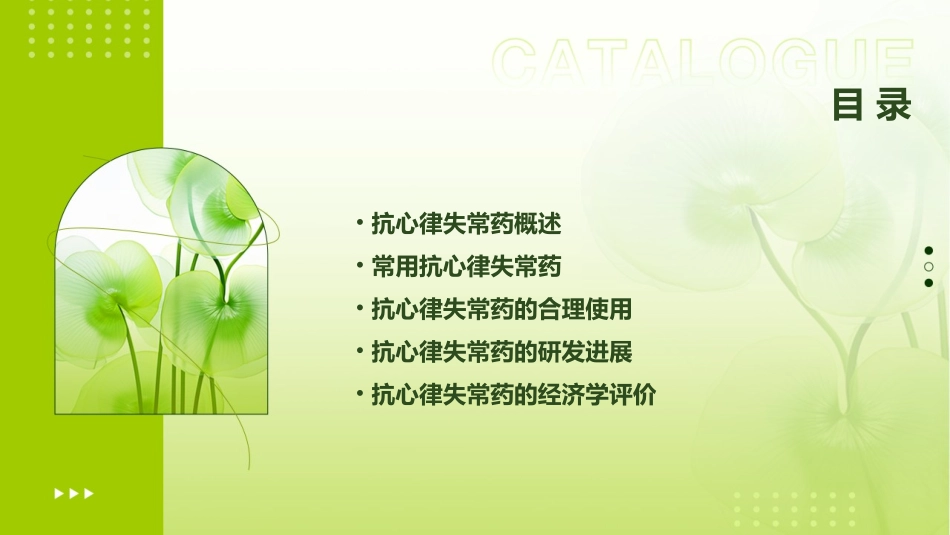 第十三章抗心律失常药课件_第2页