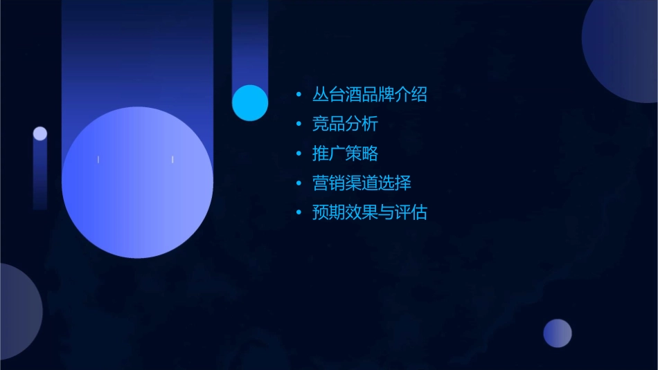 丛台酒推广方案课件1_第2页