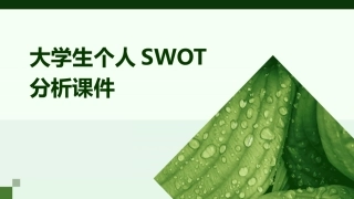 大学生个人SWOT分析课件