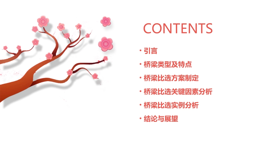 桥梁比选最终课件_第2页