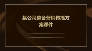 某公司整合营销传播方案课件