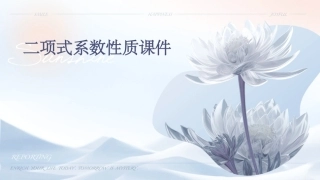二项式系数性质课件