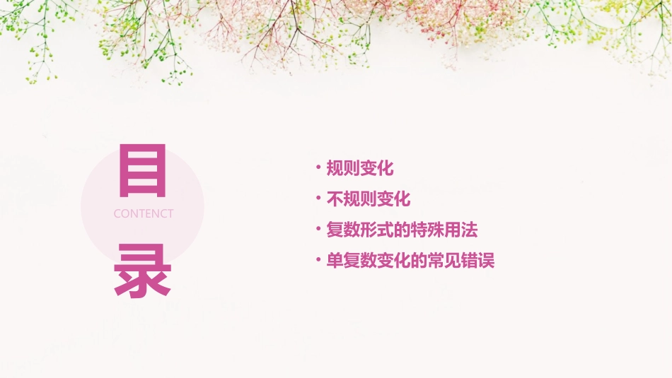 名词单复数变化规则课件_第2页