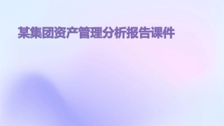 某集团资产管理分析报告课件