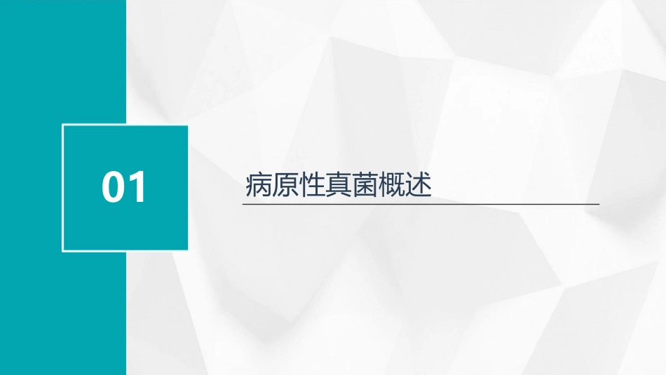病原性真菌检验课件_第3页