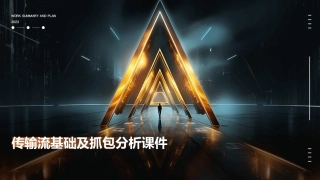 传输流基础及抓包分析课件