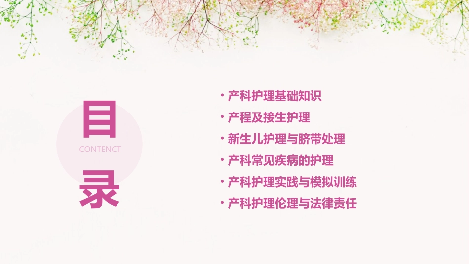 产科实习生教学导航护理课件_第2页