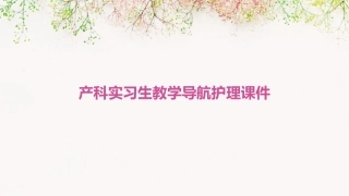 产科实习生教学导航护理课件
