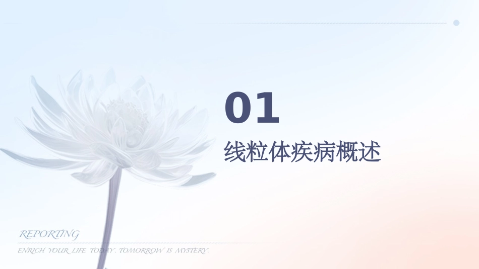 人卫版线粒体疾病遗传教学护理课件_第3页