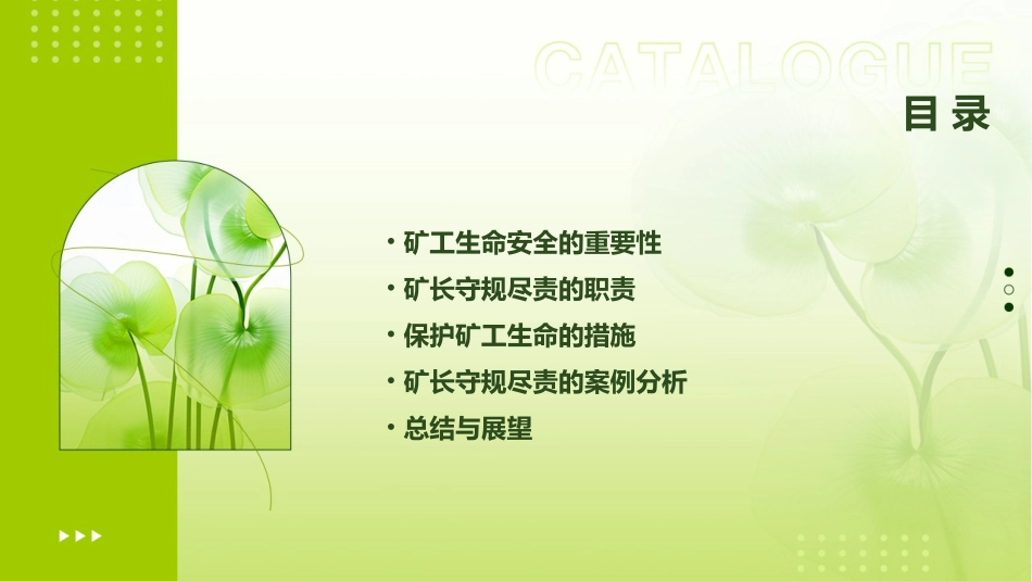 保护矿工生命矿长守规尽责课件_第2页
