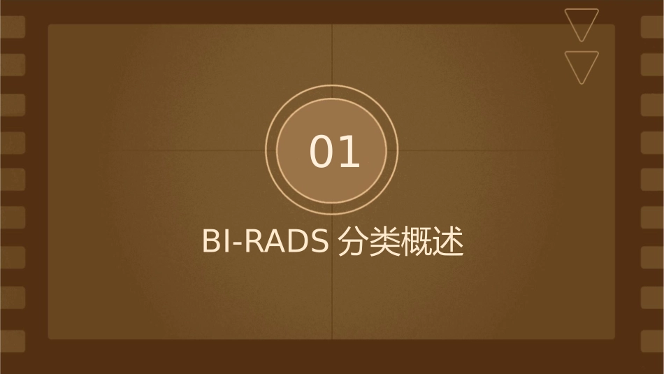 乳腺超声BIRADS分类解读护理课件1_第3页