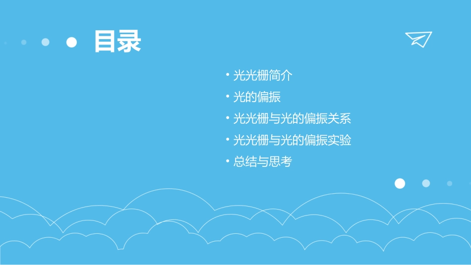 光光栅及光的偏振课件_第2页