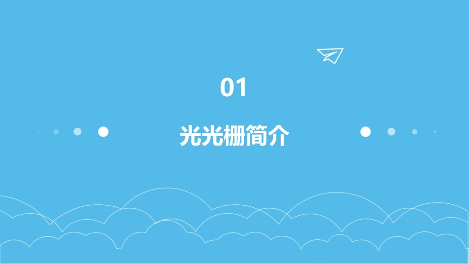 光光栅及光的偏振课件_第3页