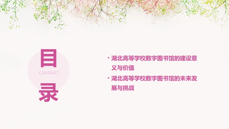湖北高等学校数字图书馆的建设课件_第3页