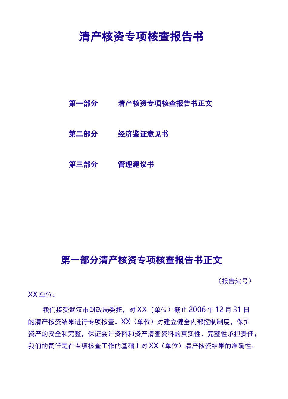 清产核资专项核查报告书_第2页