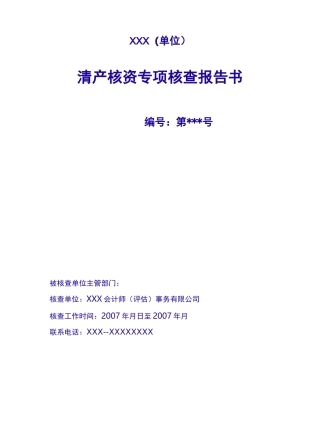 清产核资专项核查报告书