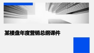 某楼盘年度营销总纲课件