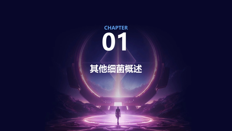 人卫版其他细菌教学护理课件_第3页