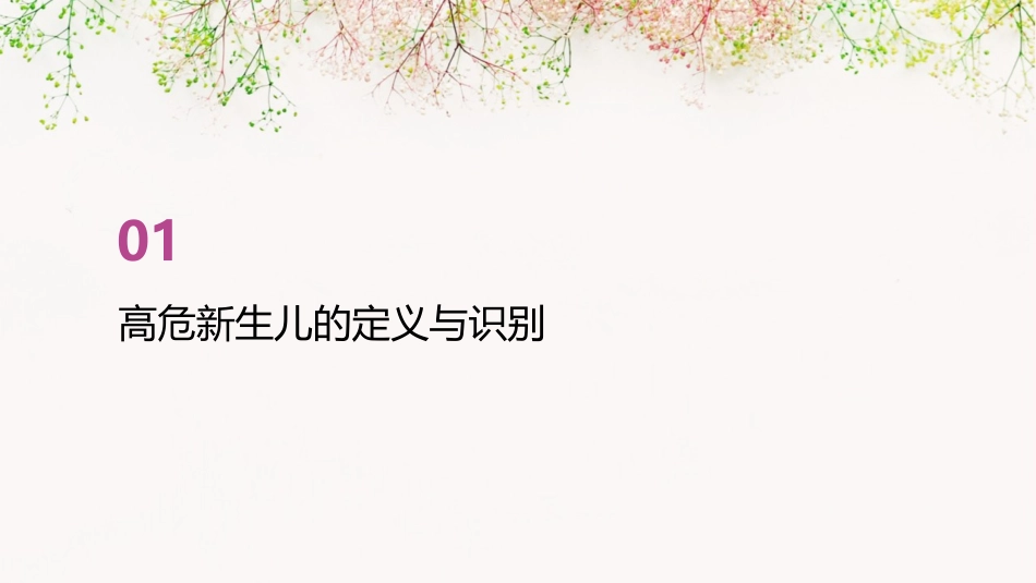 高危新生儿护理课件_第3页