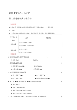 化学式与化合价作业练习