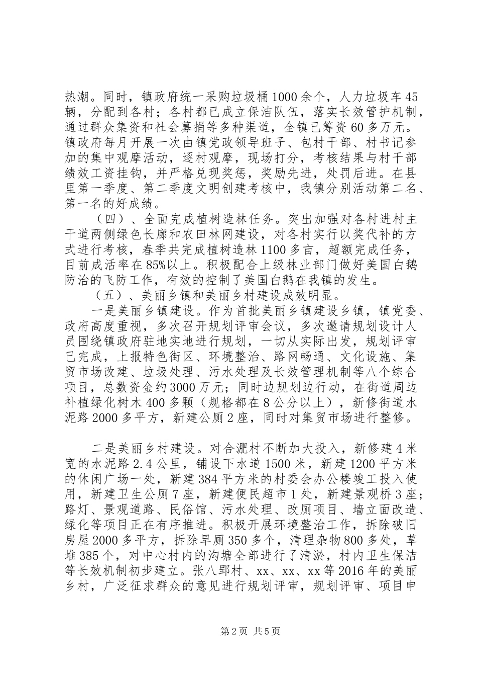 乡镇重点工作年度总结_第2页