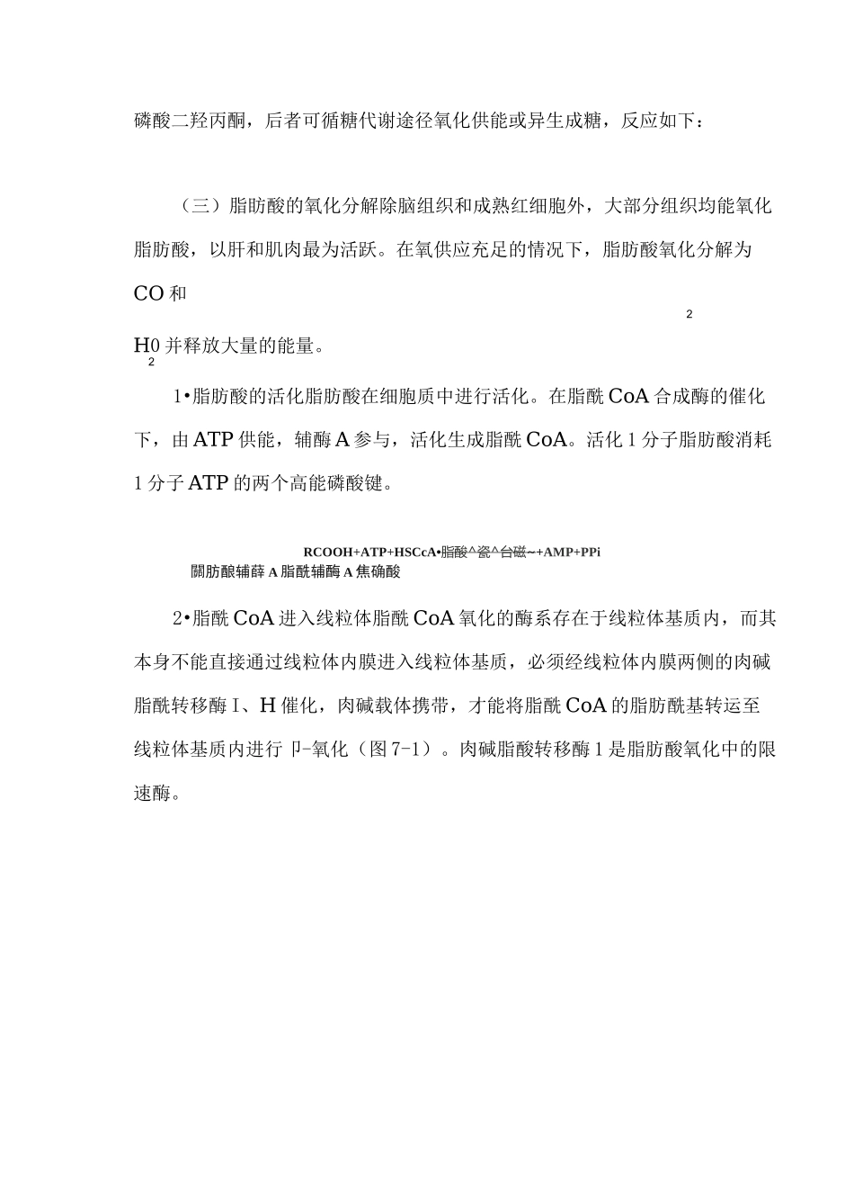 甘油三酯的代谢_第3页