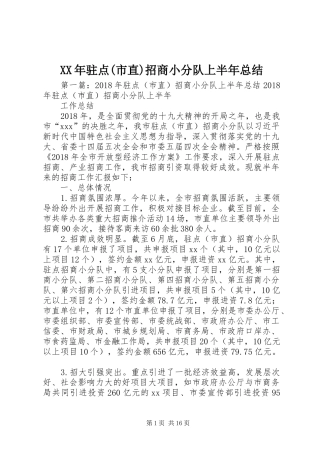 XX年驻点(市直)招商小分队上半年总结