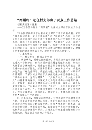 “两票制”选任村支部班子试点工作总结 (3)