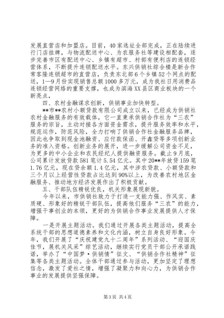供销社全年工作总结_第3页
