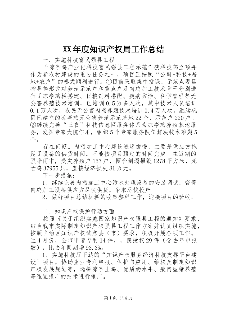 XX年度知识产权局工作总结_第1页