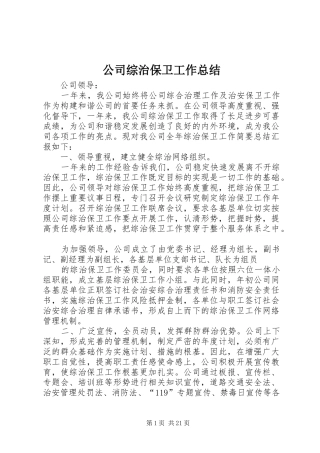 公司综治保卫工作总结