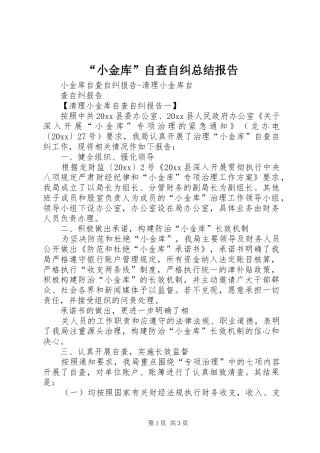 “小金库”自查自纠总结报告 (3)