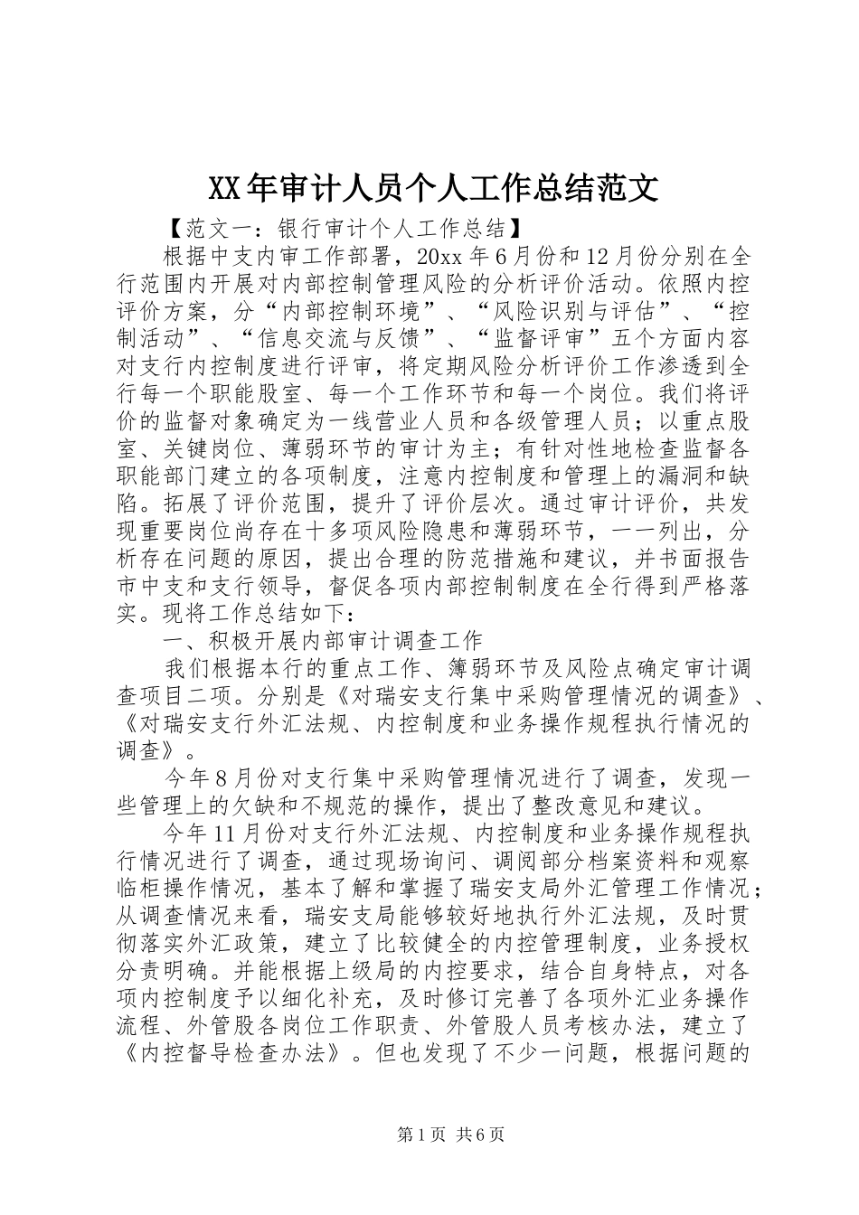 XX年审计人员个人工作总结范文_第1页