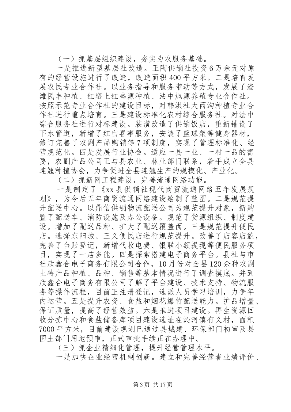 供销社年终工作总结模板范文_第3页