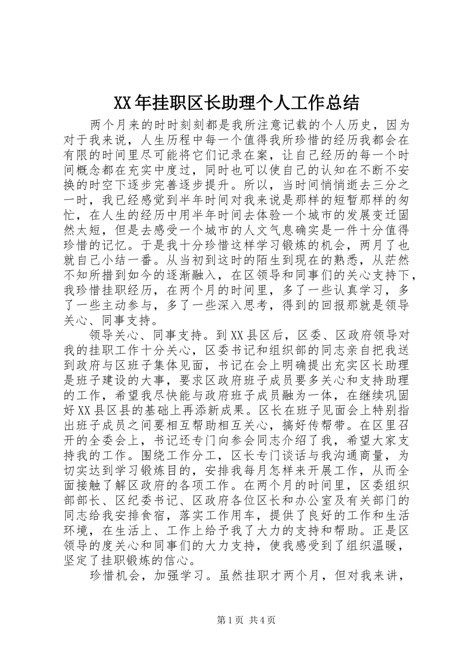 XX年挂职区长助理个人工作总结_第1页