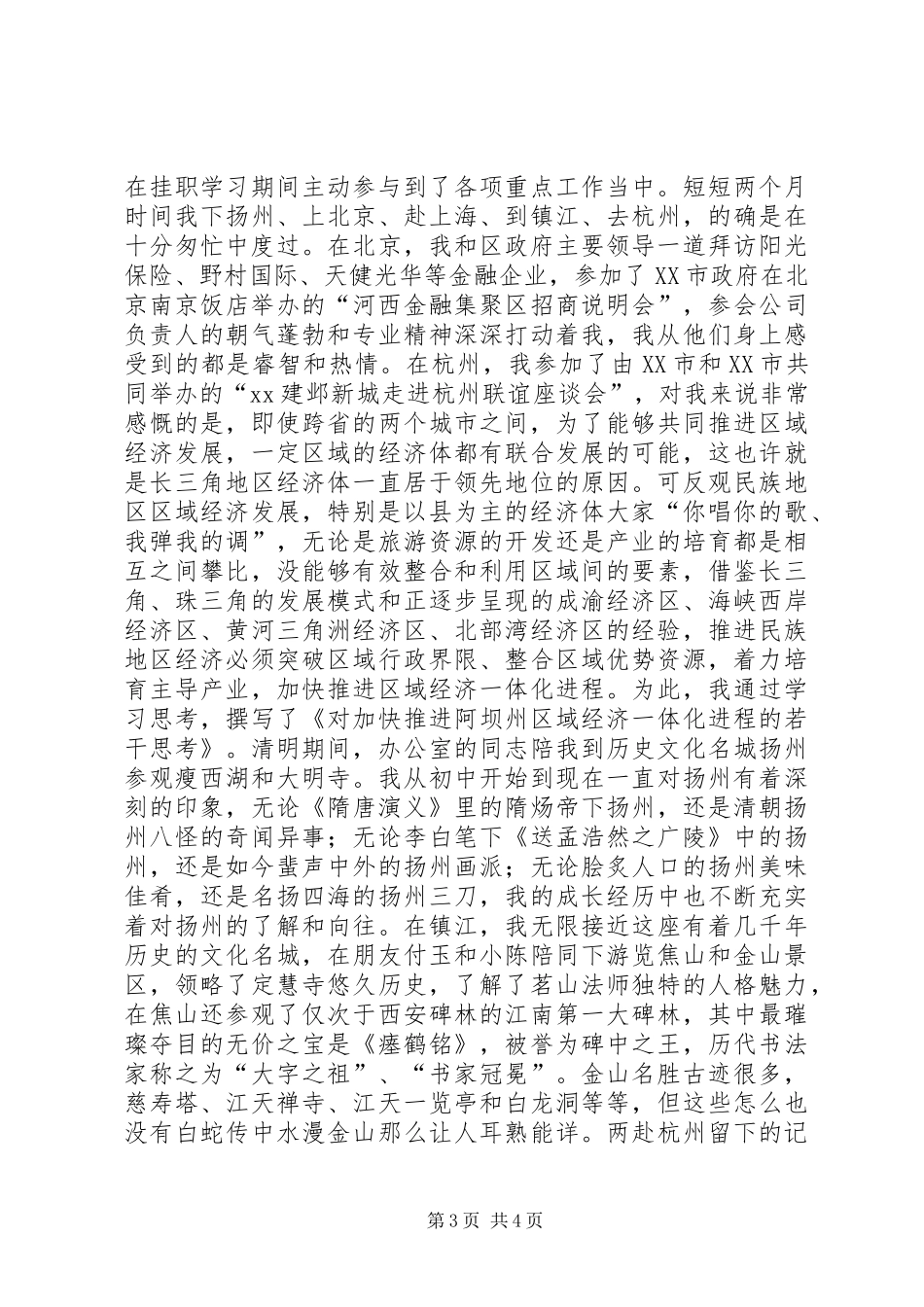 XX年挂职区长助理个人工作总结_第3页